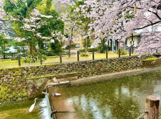 English  まるさん物産店～兵庫県豊岡市の城崎温泉のお土産～